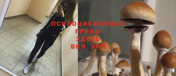 а пвп мука Богородицк